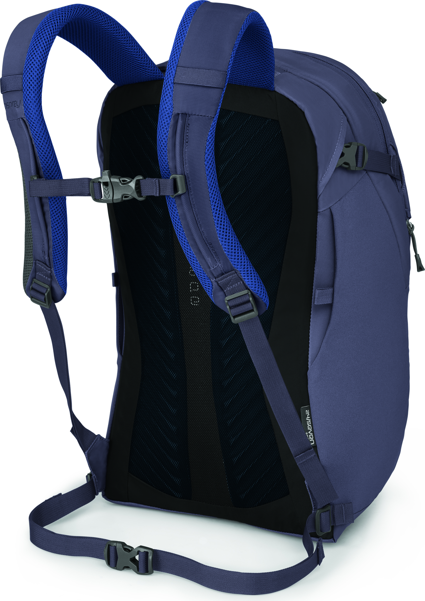 osp-aphelia58__back-aster-