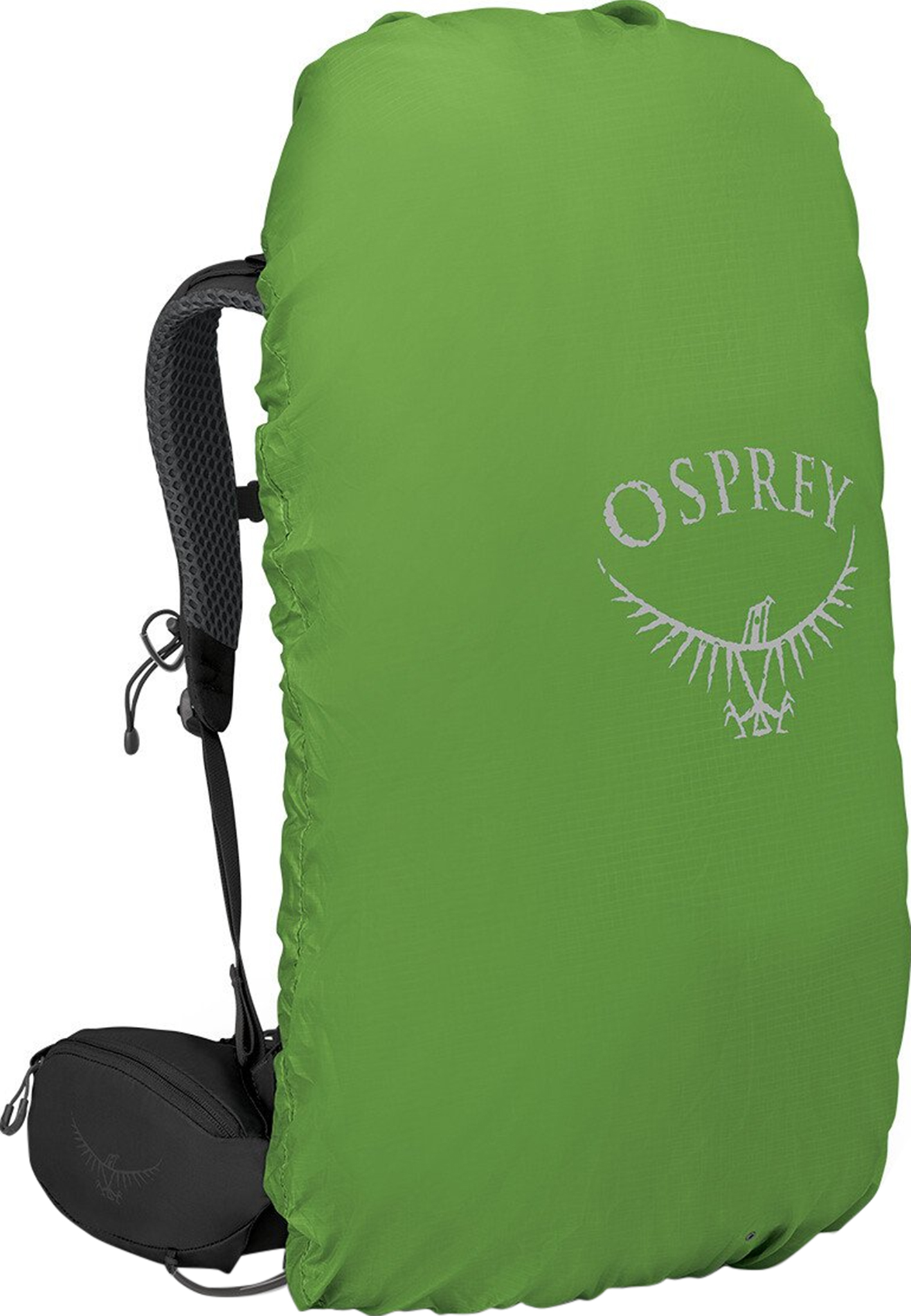 Osprey Kestrel Backpacking Pack 38L - Men's | Altitude Sports