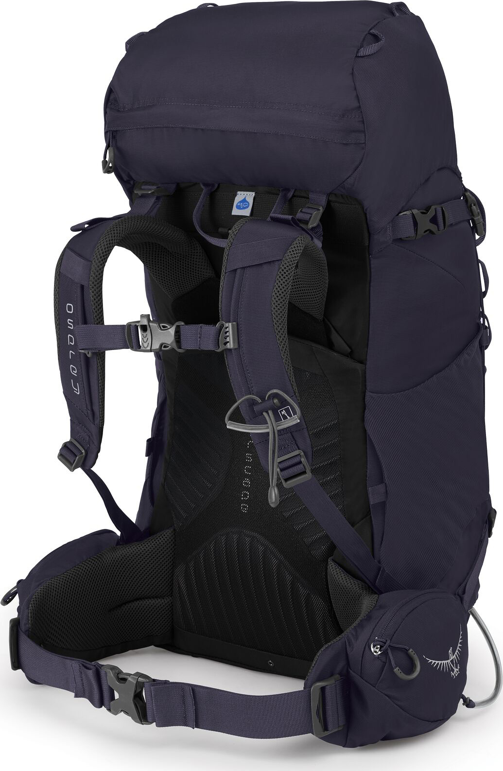 Osprey Kyte 36 Backpack - Women's | Altitude Sports