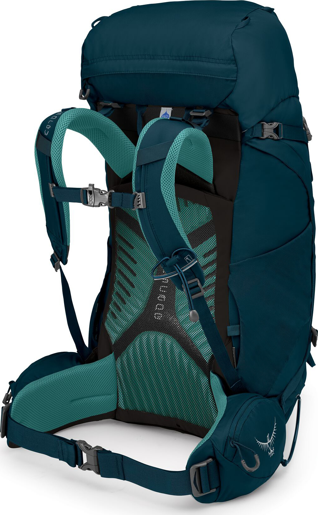daylite cinch pack osprey Osprey Daylite Cinch Backpack, Blue Spikemoss/Alkaline