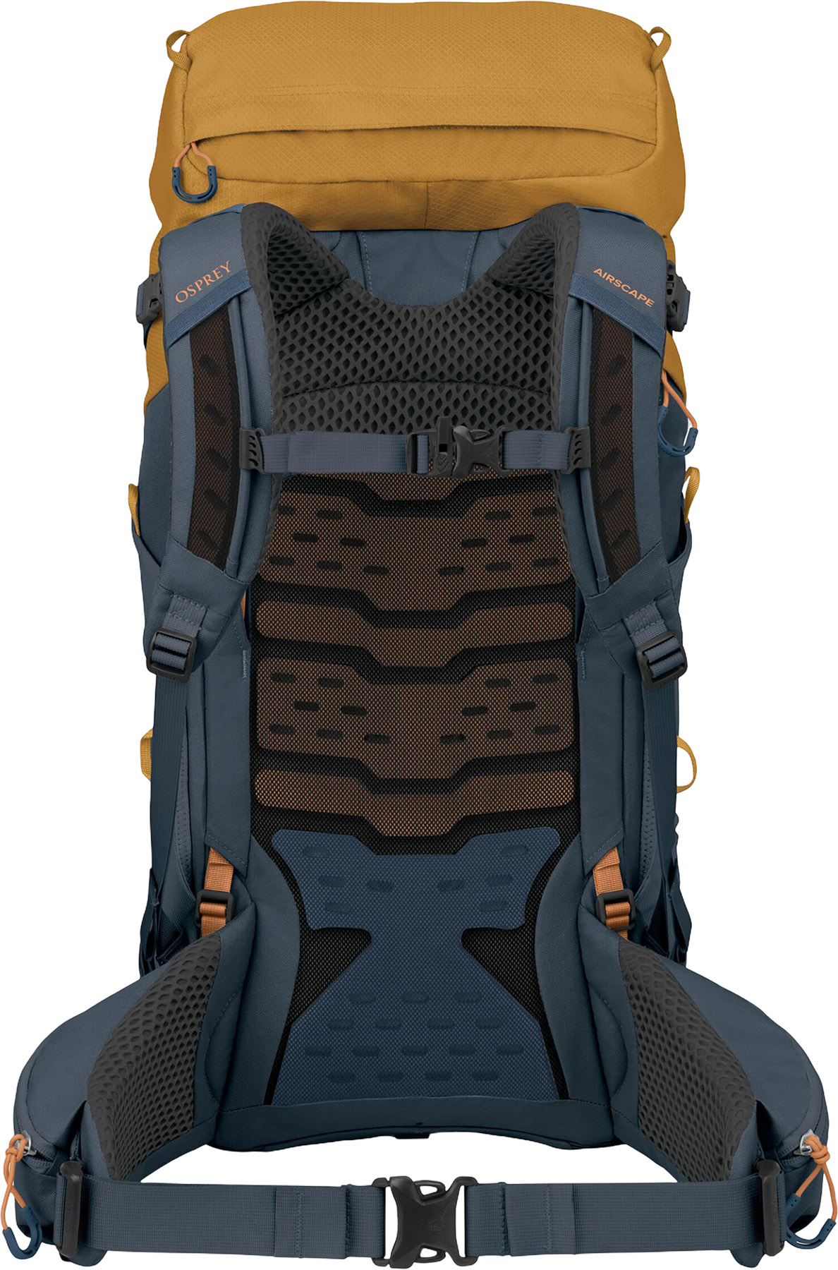 45 x 35 x 20 cm backpack osprey Kestrel LT 45L Men's Backpacking The necessary hydration is also taken care of Osprey Kyte LT 45L Women's