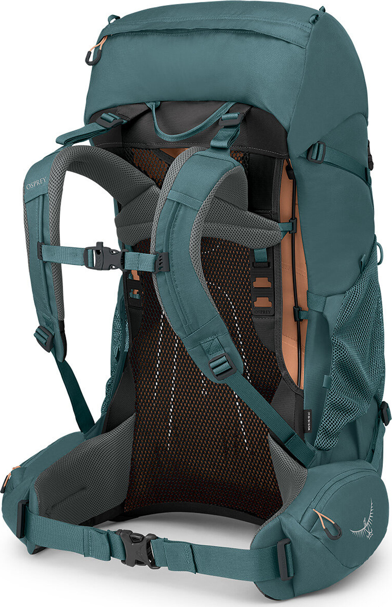backpack roundup osprey everlane - Daylite Plus AirScape Suspension An injection Everlane ReNew Transit Backpack In