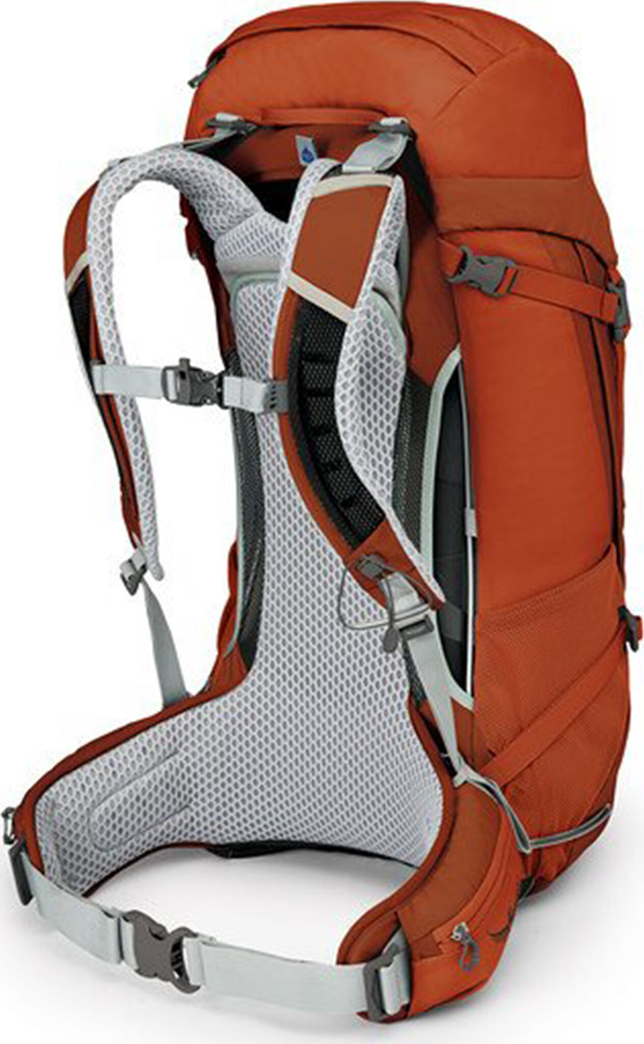 Osprey Stratos 36 バックパック オレンジ Osprey Stratos 36L Backpack | Altitude Sports