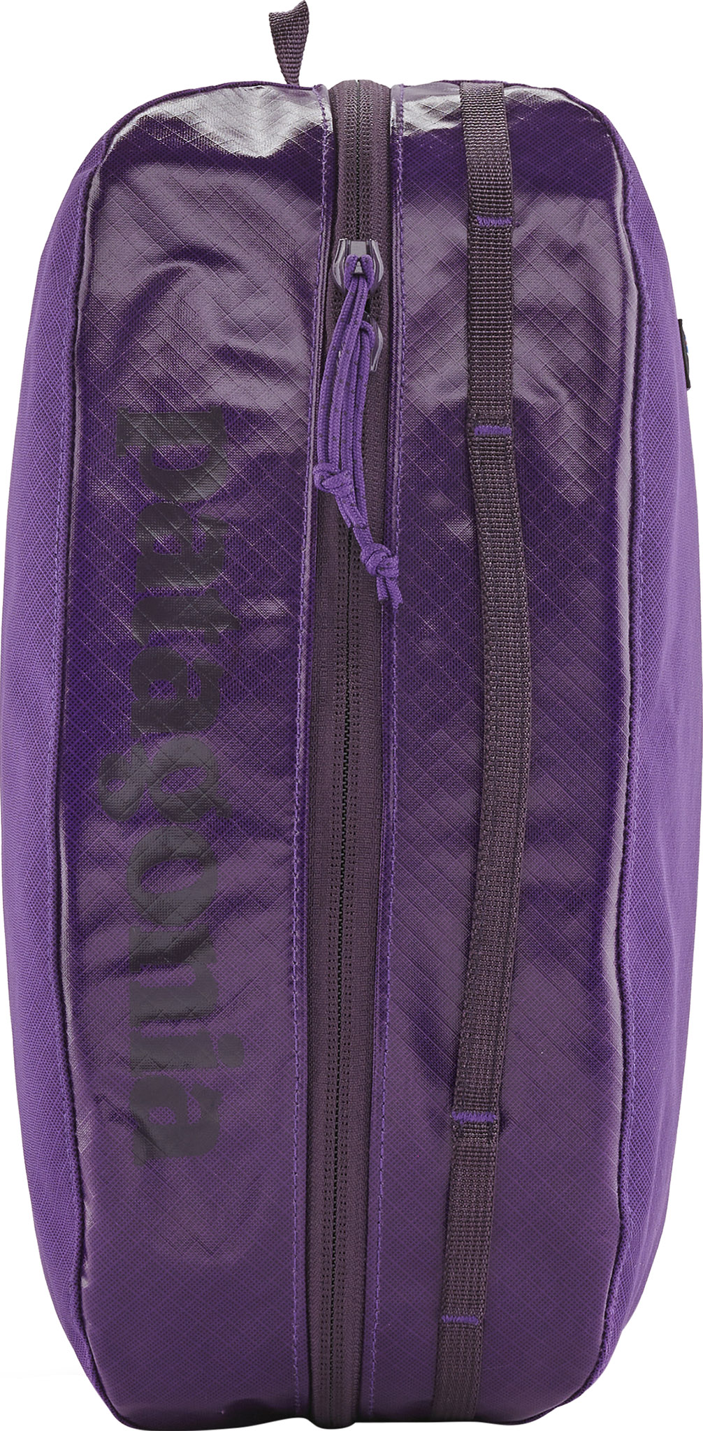 Patagonia Black Hole Cube Large 10L | Altitude Sports