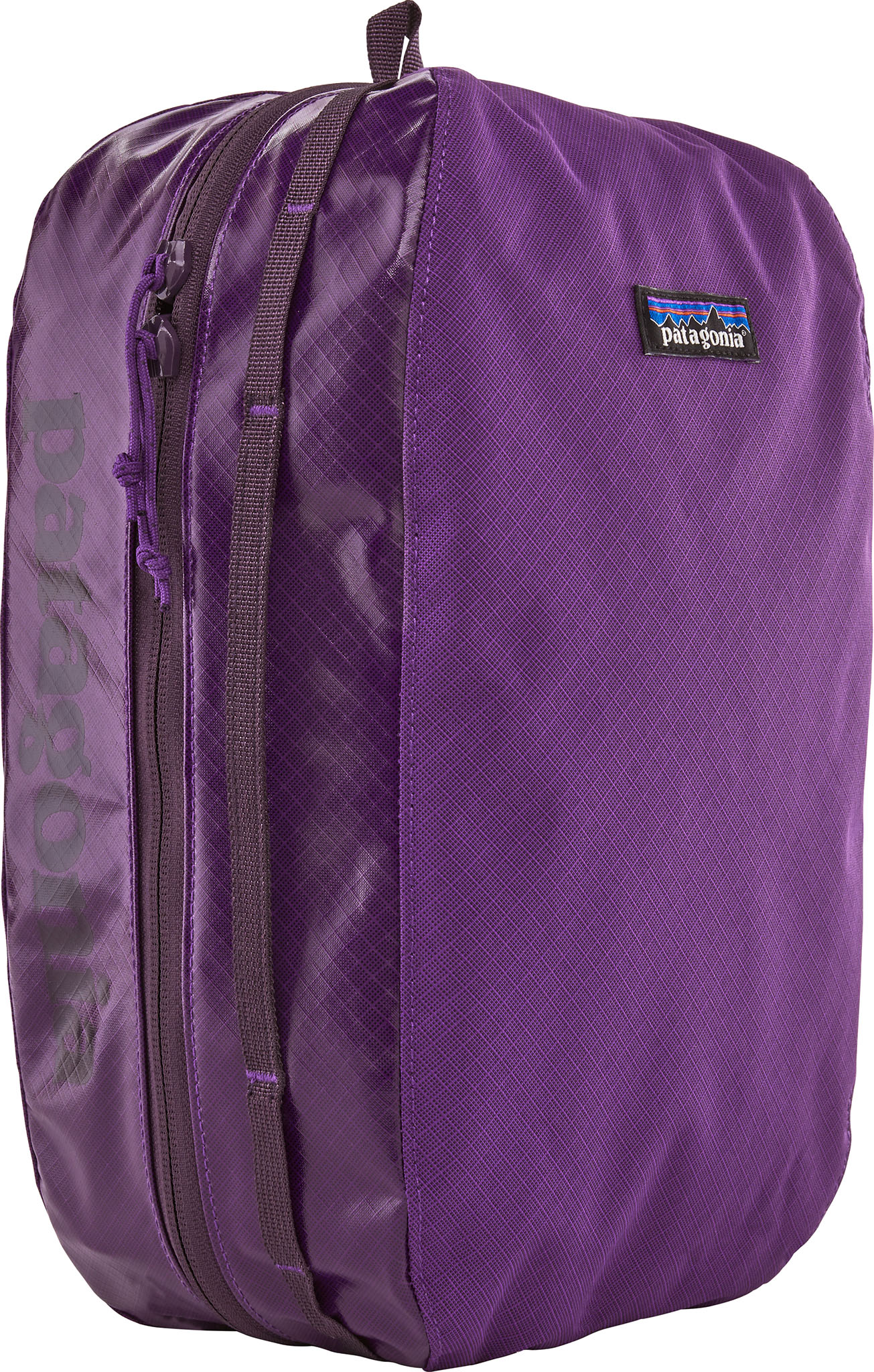 Patagonia Black Hole Cube Large 10L | Altitude Sports