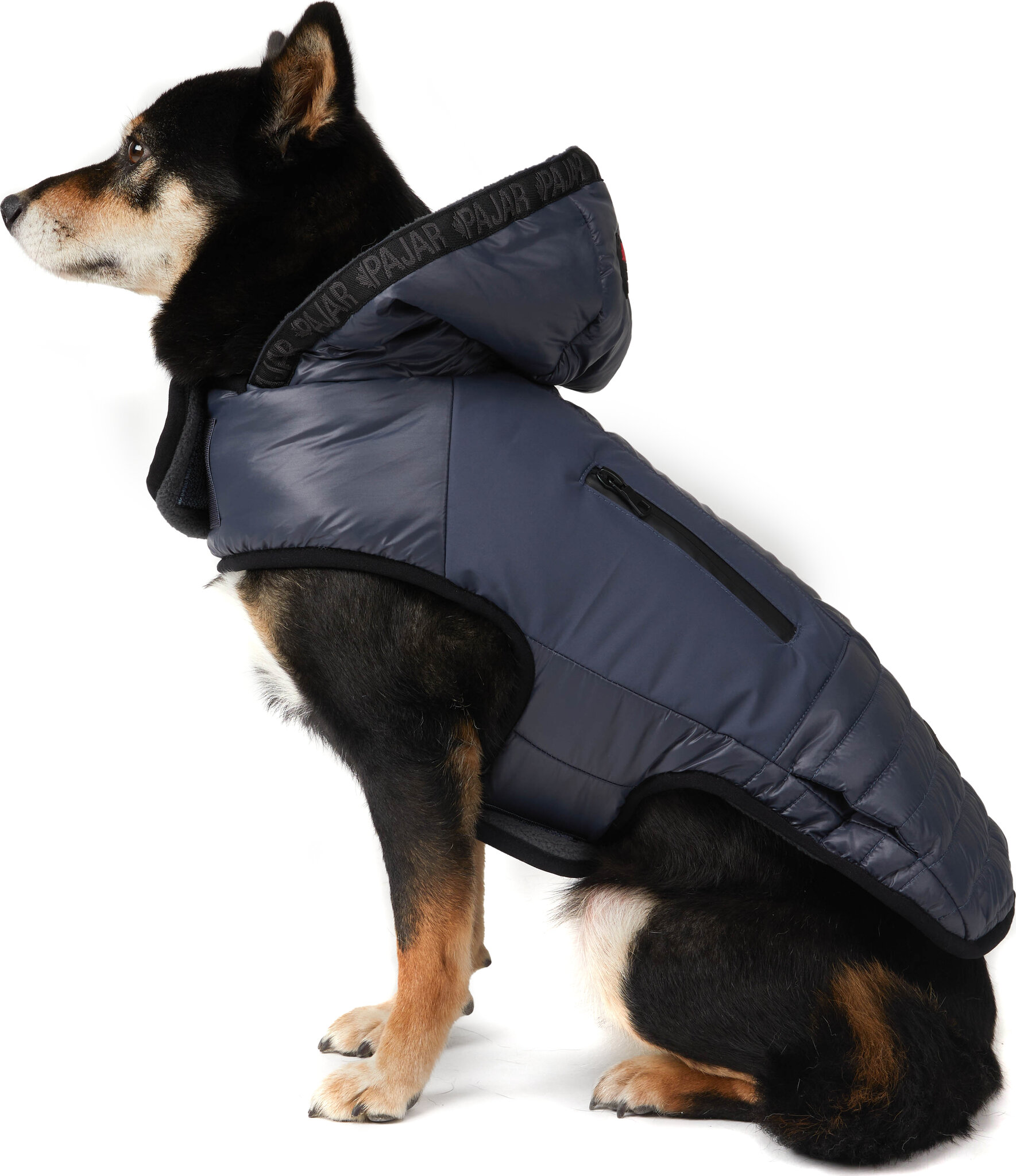 Pajar Eddie Mixed Media Quilted Jacket with Hood for Dogs
