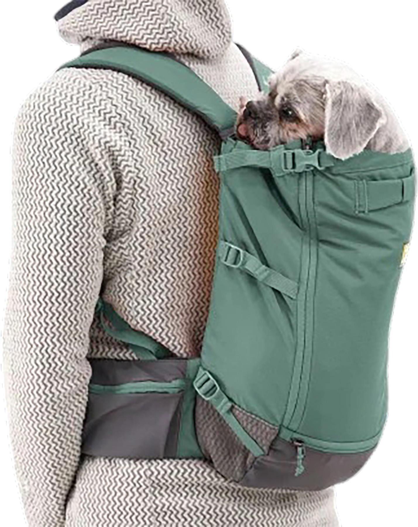 Ruffwear Hitch Hiker Dog Backpack Carrier | Altitude Sports