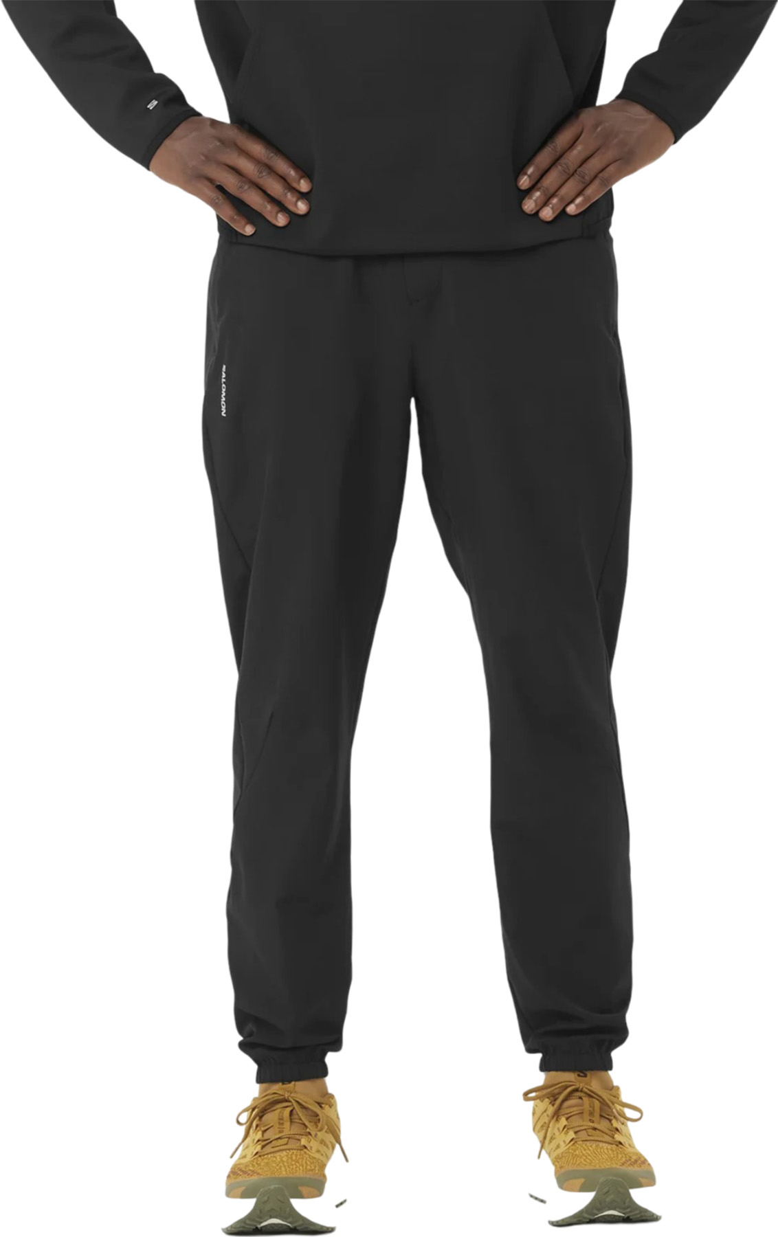 Salomon Shakeout Core Pants - Men's | Altitude Sports