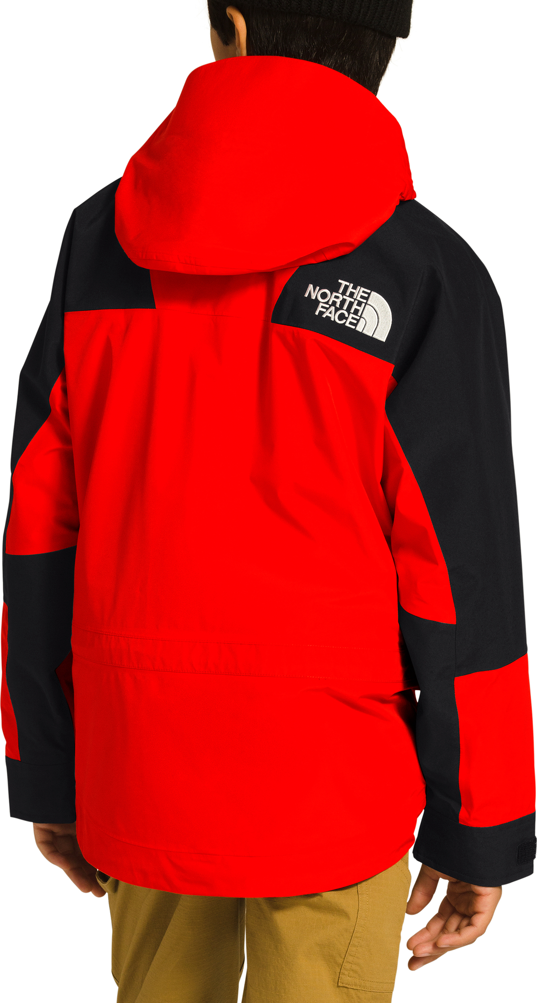 The North Face 1994 Retro Mountain Light FUTURELIGHT Jacket