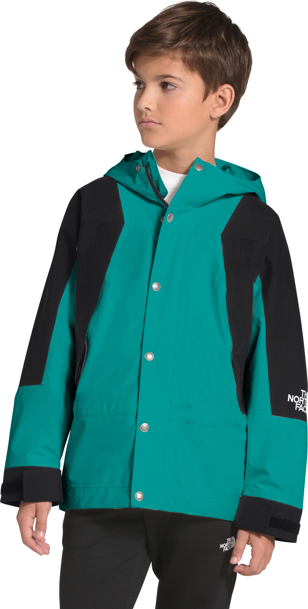 The North Face 1994 Retro Mountain Light FUTURELIGHT Jacket