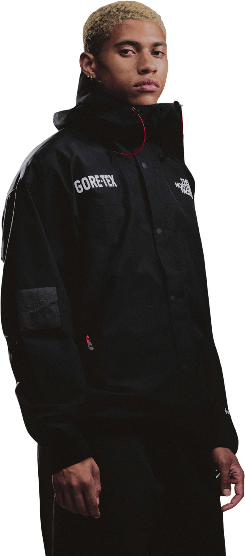 ⭐️最終値下げ⭐️ THE NORTH FACE GORE-TEX アウター The North Face GORE-TEX Mountain Jacket - Men's | The Last Hunt