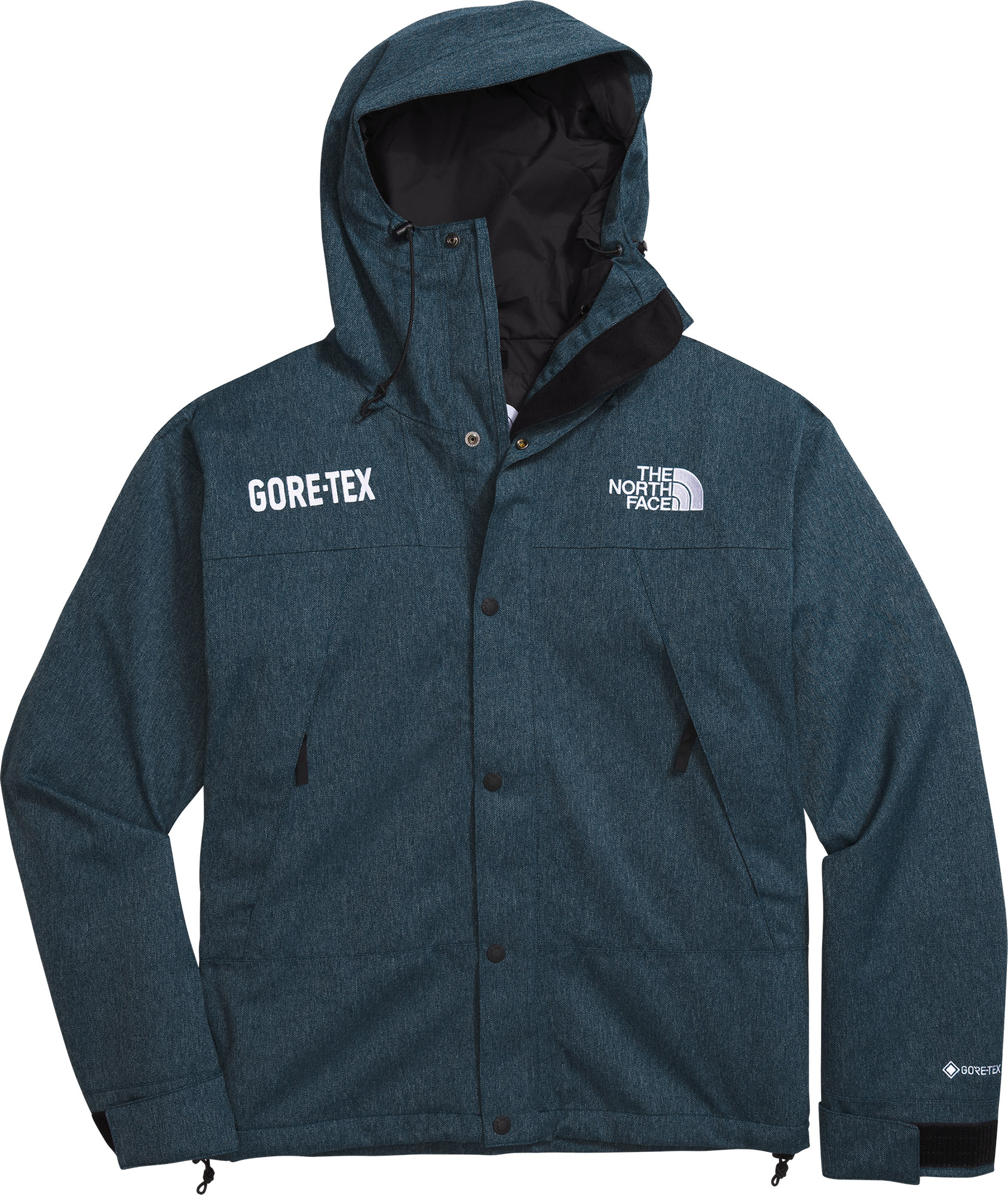 The North Face GORE-TEX Mountain Jacket - Men's | The Last Hunt