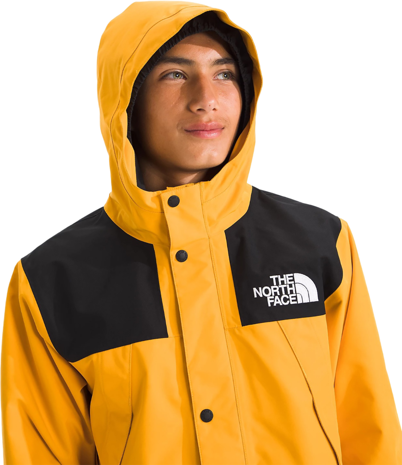 tnf-nf0a88jy__detail1-summit-