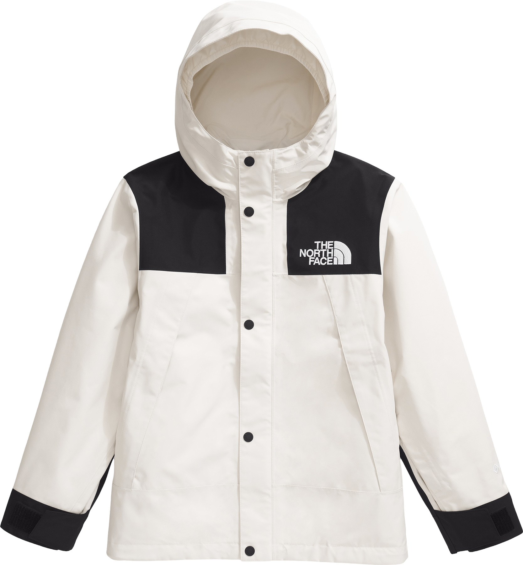 The North Face GORE-TEX Mountain Jacket - Big Kids | Altitude Sports