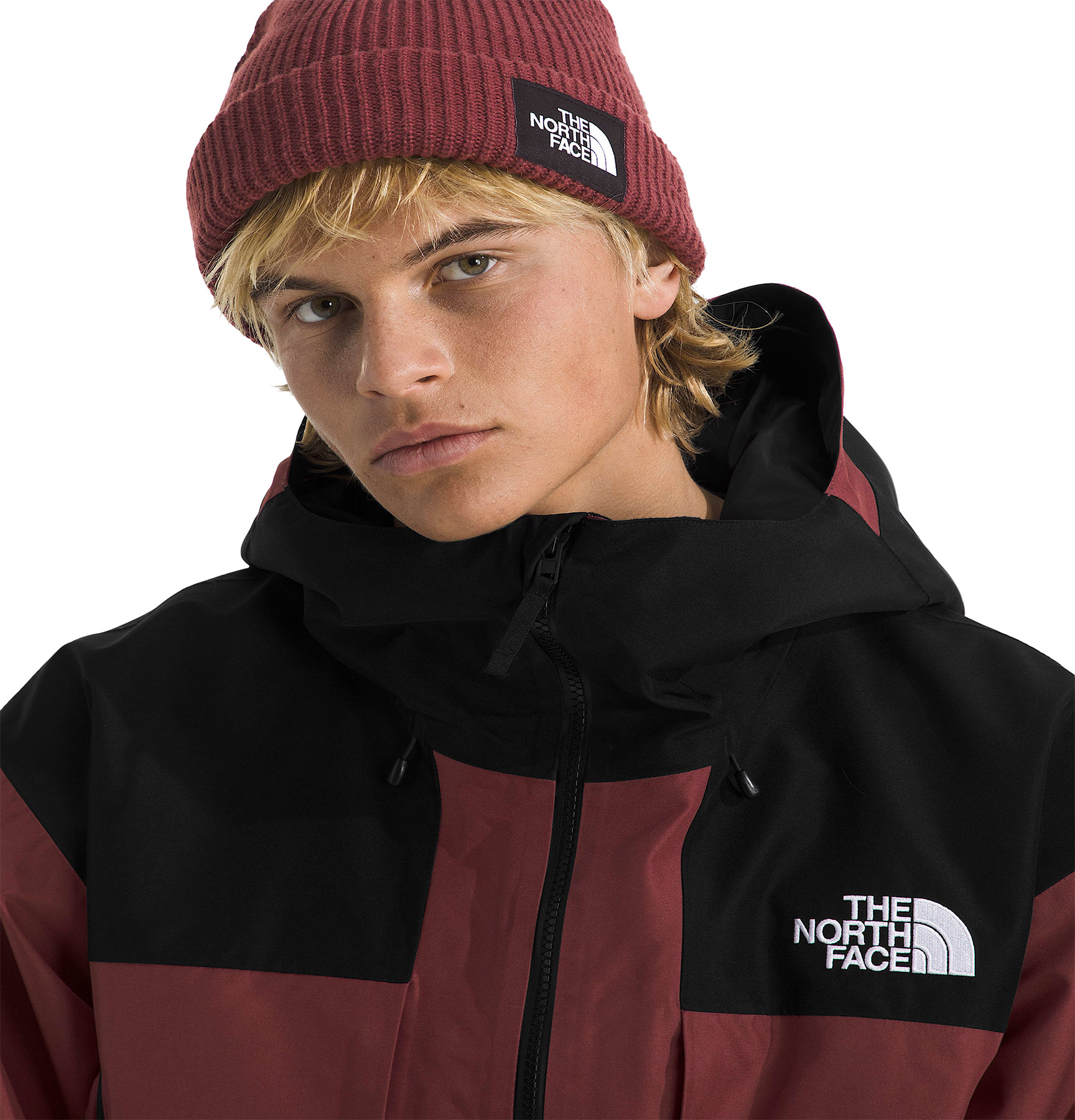 The North Face Hex GORE-TEX Jacket - Men's | Altitude Sports