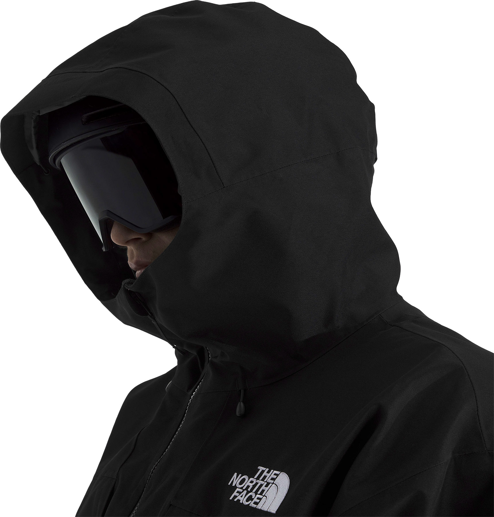 The North Face Hex GORE-TEX Jacket - Men's | Altitude Sports