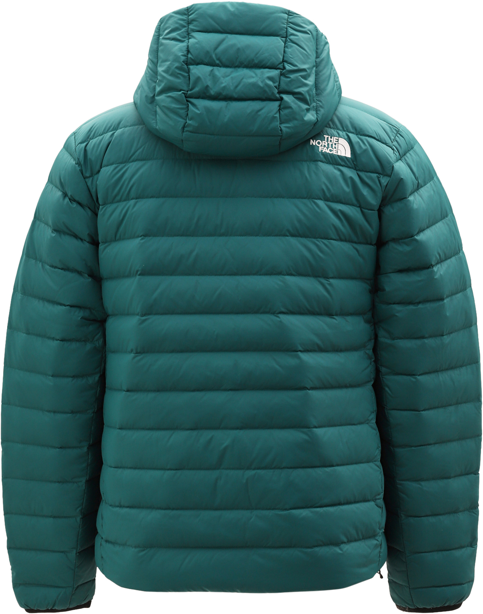 The North Face Classic Down Hooded Jacket - Men's | Altitude Sports