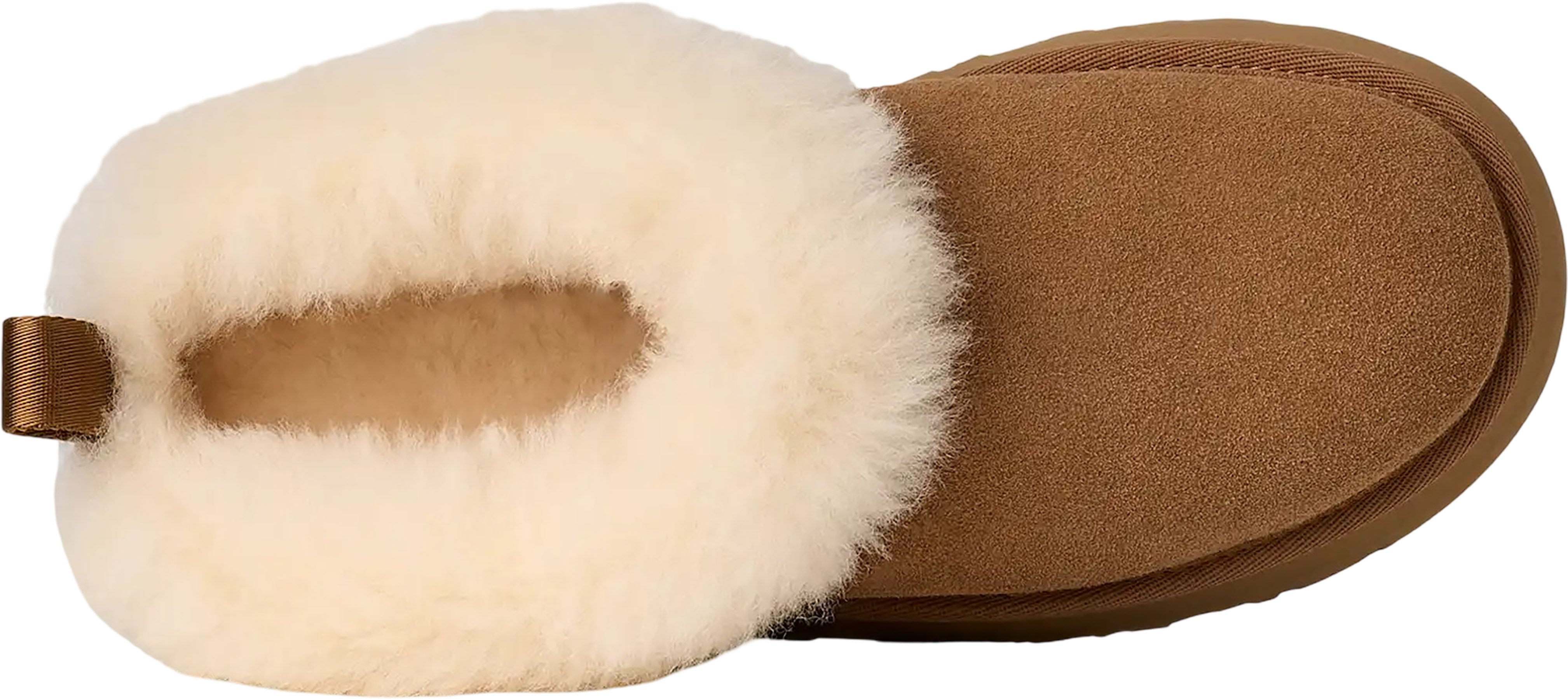UGG Tazzelle Slippers - Women's | Altitude Sports