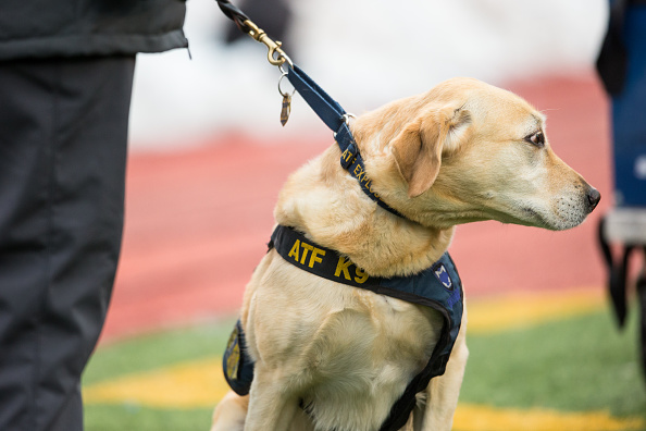 K-9 helps find missing teenager in North Carolina: ‘We’re just really thankful’