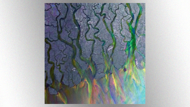 Alt-J announces 10th anniversary ‘An Awesome Wave’ shows in the US Alt-J announces 10th anniversary ‘An Awesome Wave’ shows in the US