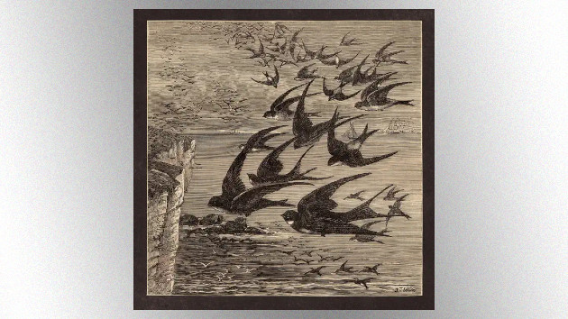 Neutral Milk Hotel announces ’The Collected Works’ box set Neutral Milk Hotel announces ’The Collected Works’ box set