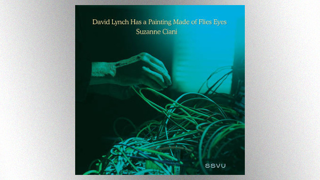 Silversun Pickups & Butch Vig release video for collaborative “David Lynch” song