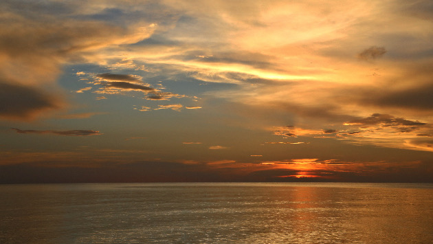 US teen missing after going overboard on sunset cruise in the Bahamas - Vimarsana News