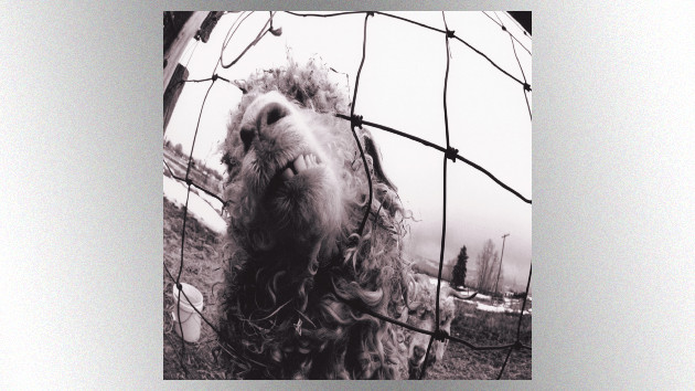 Pearl Jam announces 30th anniversary vinyl & cassette ﻿Vs.﻿ reissue