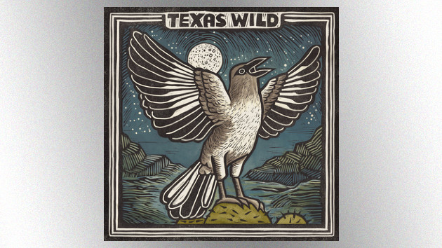 Toadies share cover of Kelly Clarkson’s “Since U Been Gone”