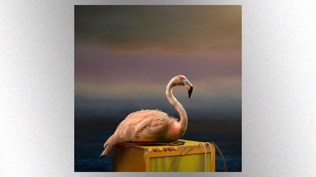 Listen to new Kim Deal solo single, “Coast” Listen to new Kim Deal solo single, “Coast”