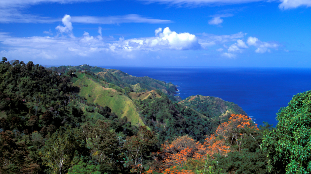 Police investigate after American man found fatally stabbed in Tobago