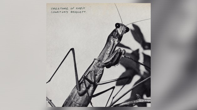 Courtney Barnett announces new album, ﻿’Creature of Habit’