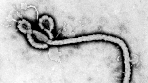 DHS announces Ebola outbreak flight arrival restrictions for DRC, Uganda, South Sudan DHS announces Ebola outbreak flight arrival restrictions for DRC, Uganda, South Sudan