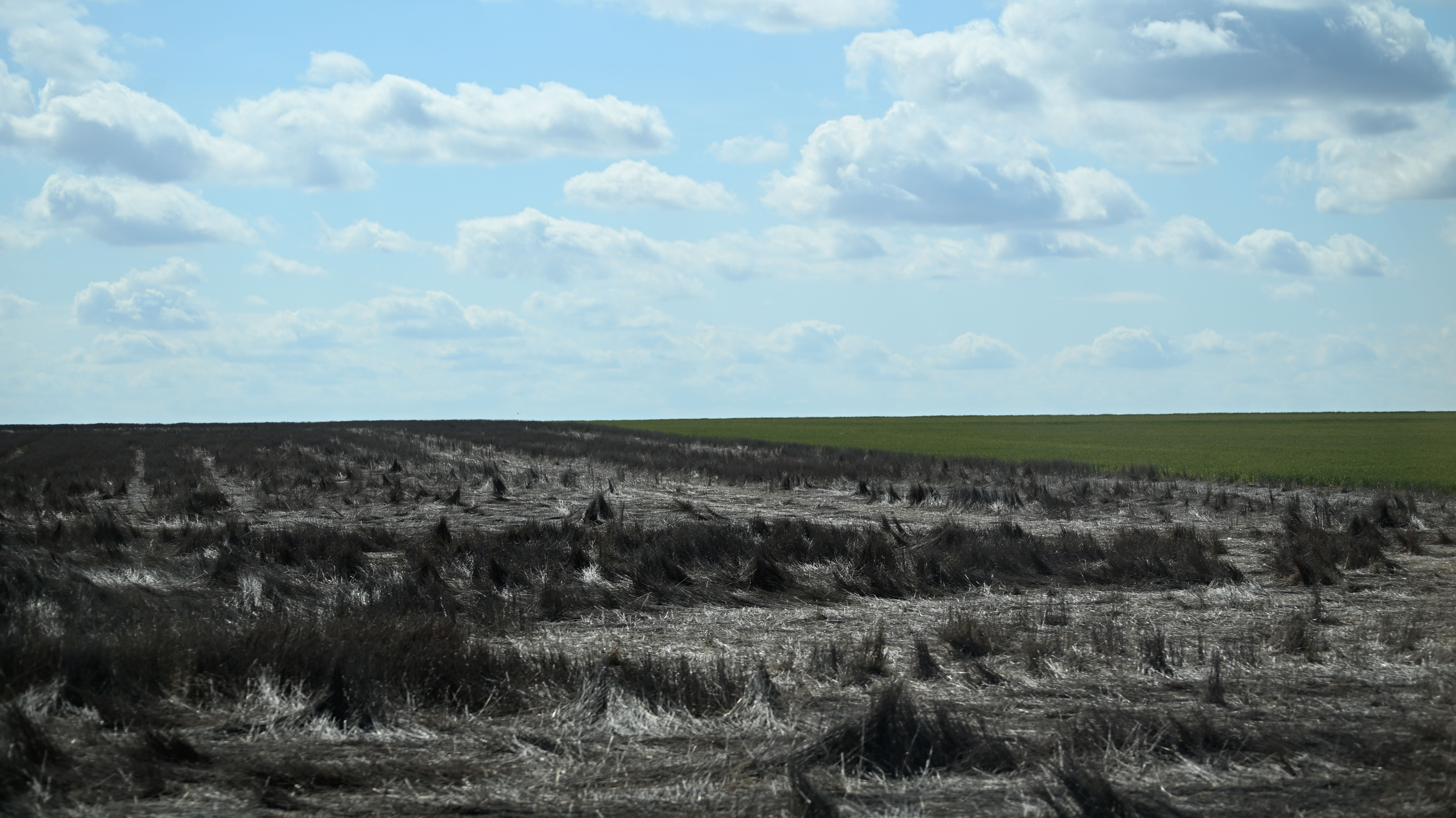 US agriculture industry at risk as drought conditions worsen