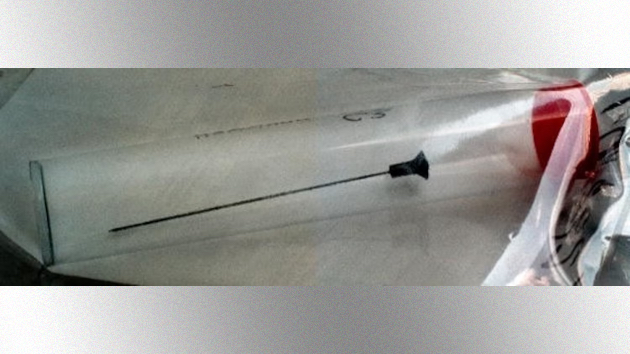 Suspect arrested in back-to-back blowgun dart shootings in Cleveland