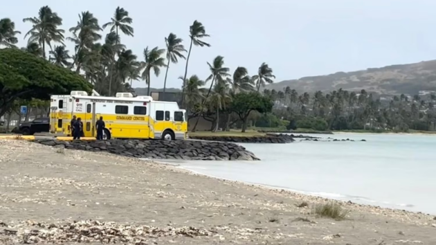 Father, son missing off Oahu coast, search underway