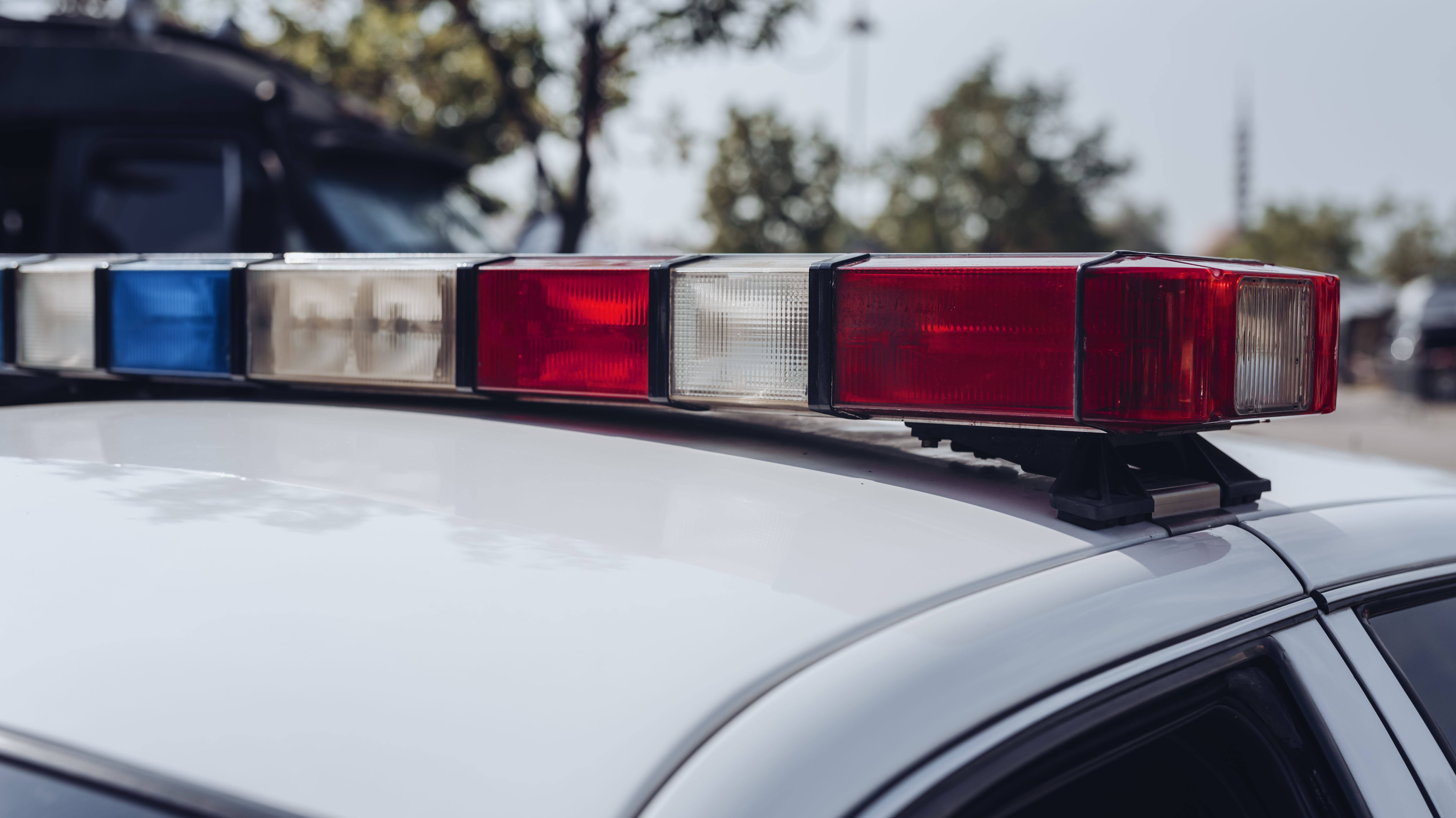 Grandmother falsely accused of bank theft after alleged AI facial recognition match sues for $10M
