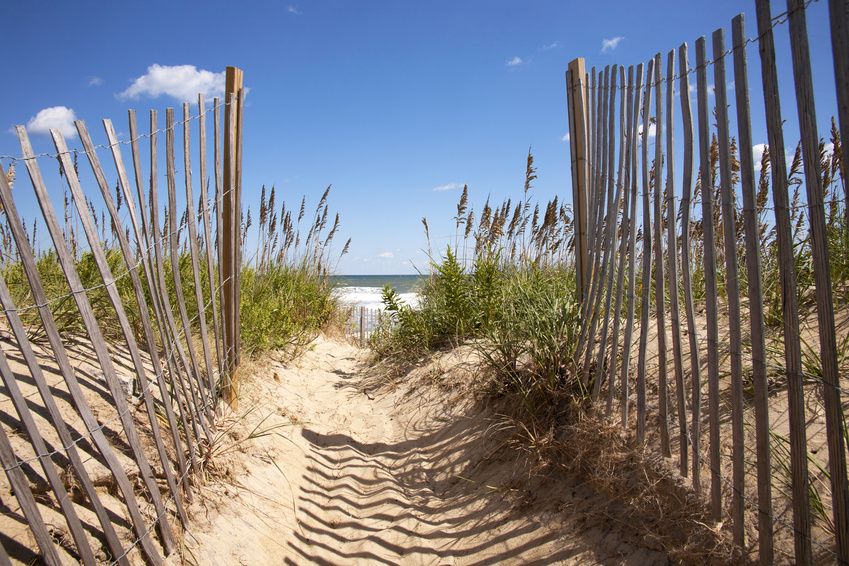 Top Places to Visit During Your Vacation in the Outer Banks Family Issues