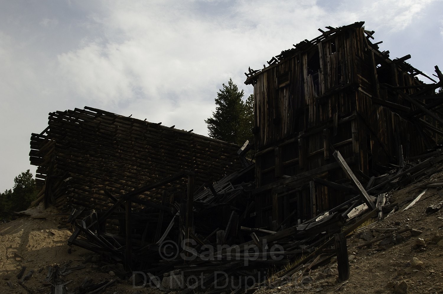 Brysons Photo Store 6