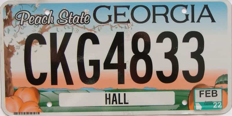 2022 Georgia license plate for sale