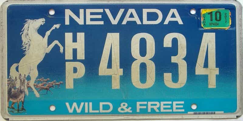 2017 Nevada license plate for sale