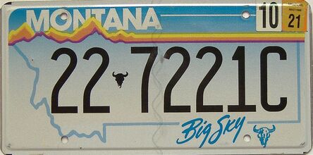 2021 Montana  (Single) license plate for sale