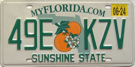 2024 Florida license plate for sale