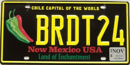 2024 New Mexico license plate for sale