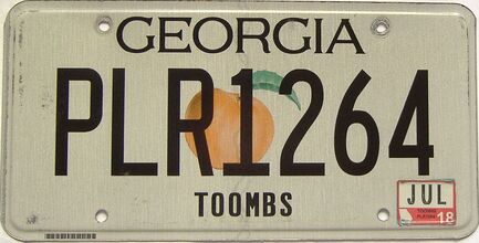 2018 Georgia Counties (Toombs) license plate for sale
