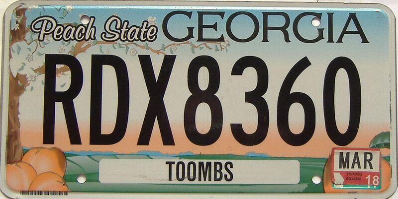 2018 Georgia Counties (Toombs) license plate for sale