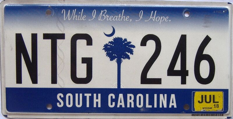 2018 South Carolina license plate for sale