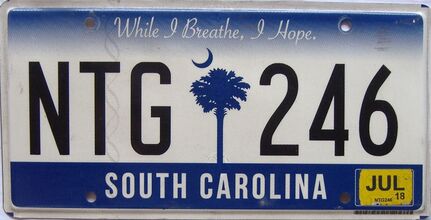 2018 South Carolina license plate for sale