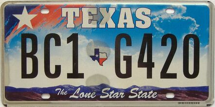Texas  (Single) license plate for sale
