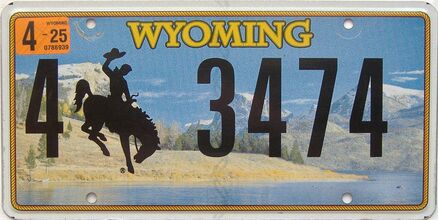 2025 Wyoming  (Single) license plate for sale